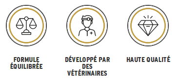 Arti-Base_logos_FR.jpeg