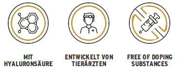 Arti-Sport-logos-DE.jpeg