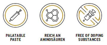 Energy-Boost-logos-DE.jpeg