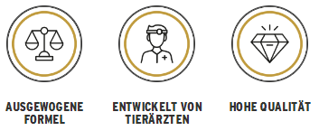 Pro-Motion-Icons-DE.jpeg