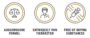 Top-Competition-logos-DE.jpeg