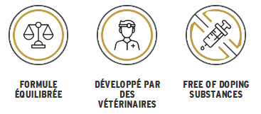 Top-Competition-logos-FR.jpeg