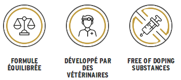Vital_logos_FR.jpeg