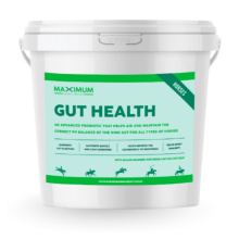 maximum_gut-health