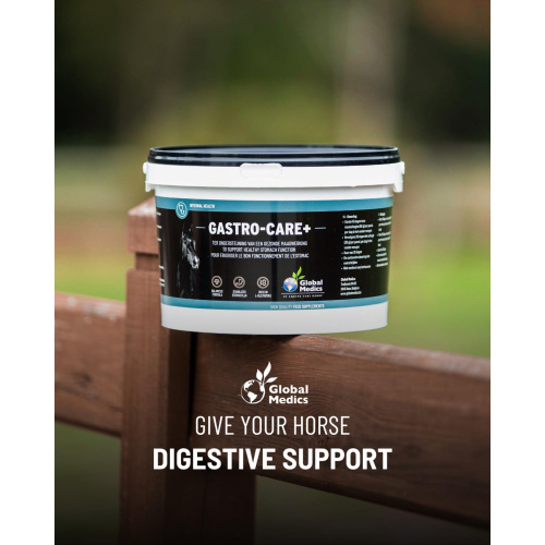 4_gastro-care