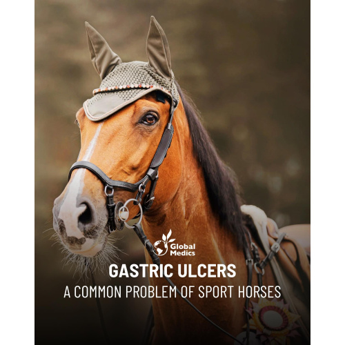 5_gastro-care