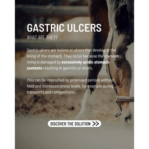 6_gastro-care