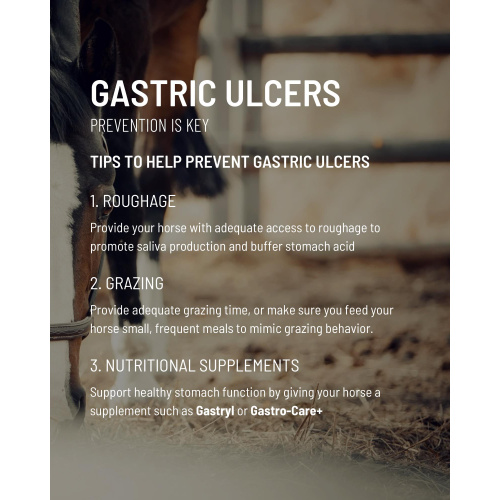 7_gastro-care