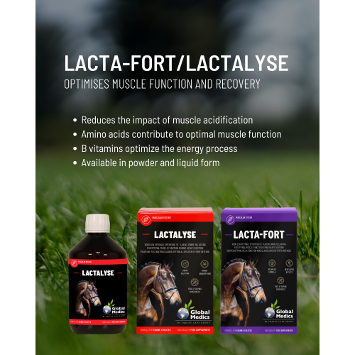 competition-supplements-3