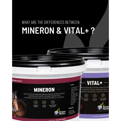 difference-mineron-vital1_507414831