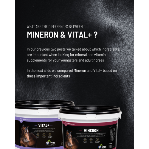 difference-mineron-vital2_1977937307