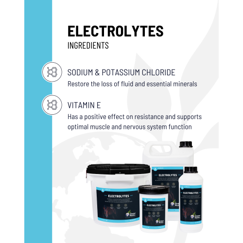 electrolytes-3_2055205937
