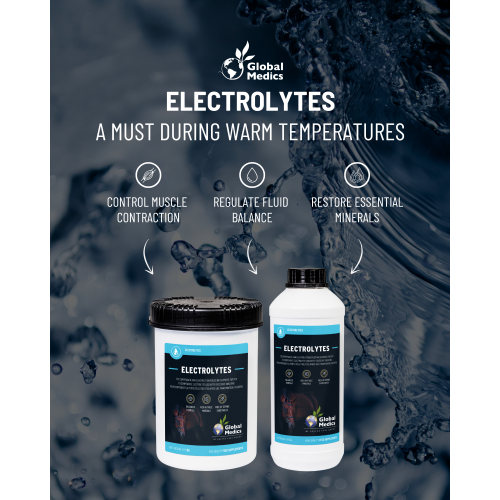 electrolytes-focus_234766296