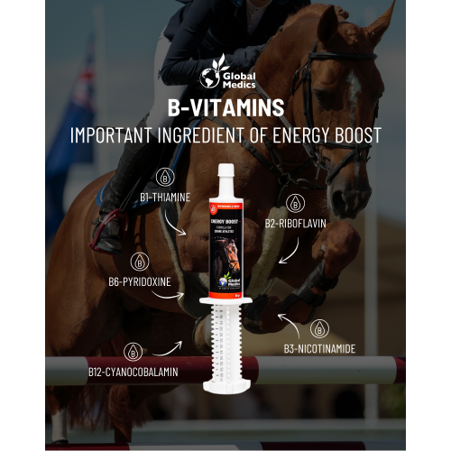 energy-boost-b-vitamins-focus-1