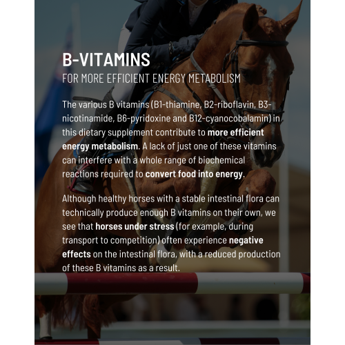 energy-boost-b-vitamins-focus-2