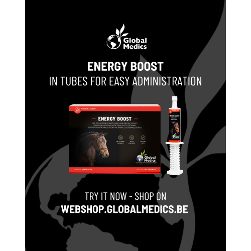 energy-boost-b-vitamins-focus-3