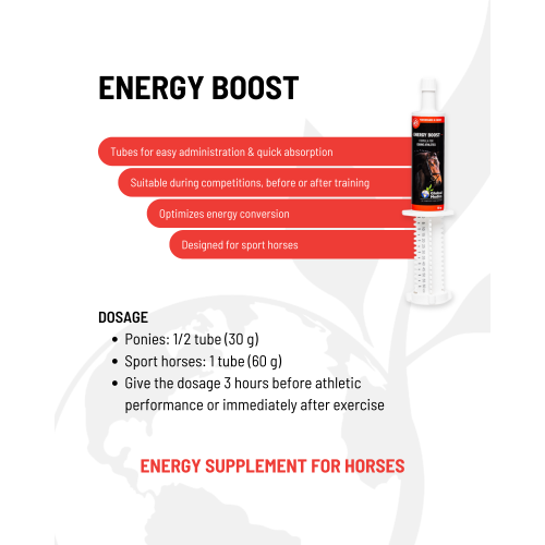 energy-boost-for-peak-performance-3