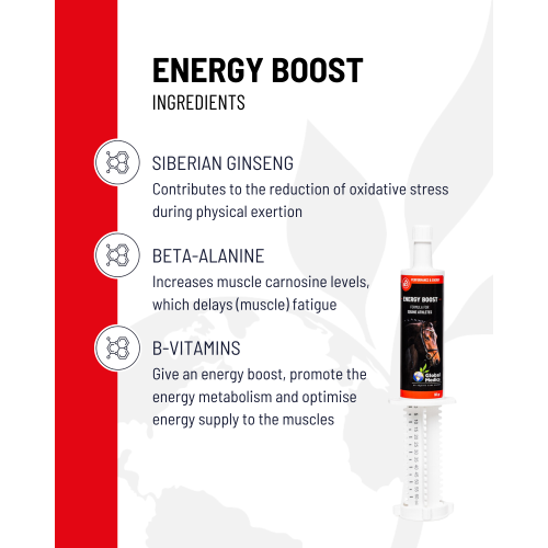energy_boost-3