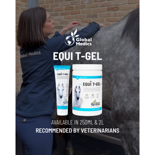equi-t-gel-1_1887688595