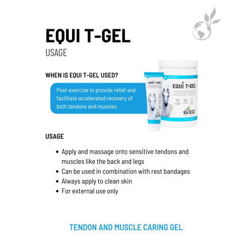 equi-t-gel-2_1191538450