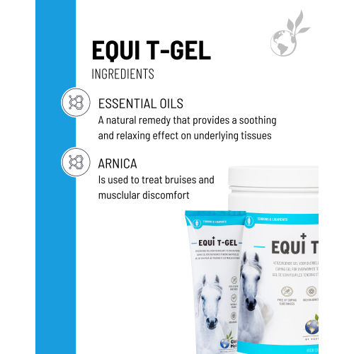 equi-t-gel-3