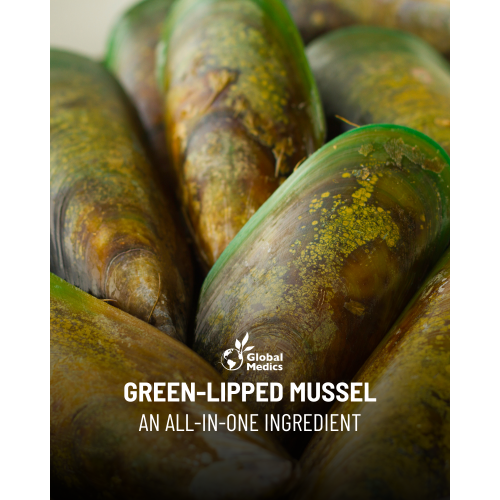 green-lipped-mussel-focus-1