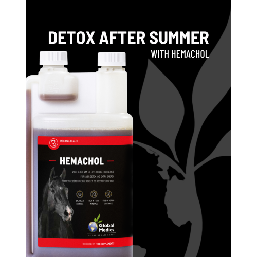 hemachol-detox-after-summer-1