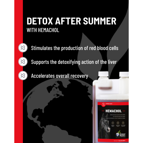 hemachol-detox-after-summer-3