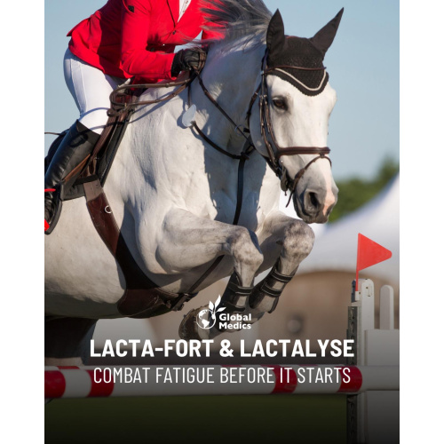 lacta-fort-lactalyse-1_404298981