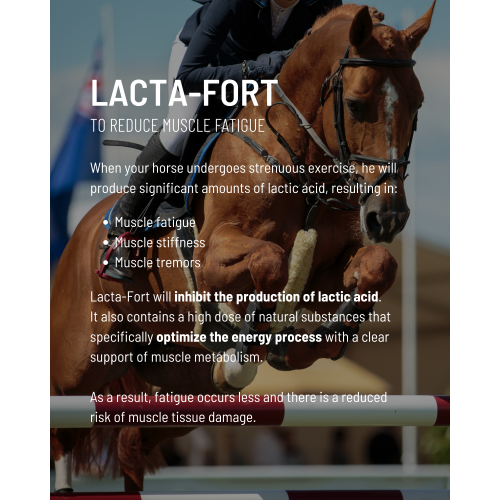 lacta-fort_intro-2