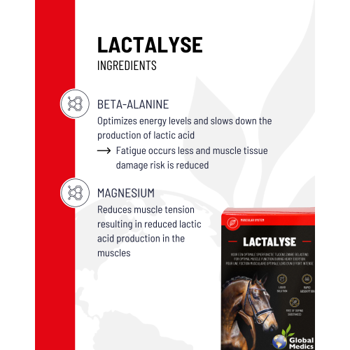 lacta-fort_lactalyse-4_2017333058