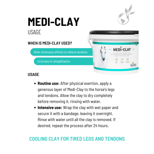 medi-clay-2