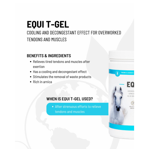medi-clay_equi_t-gel-3