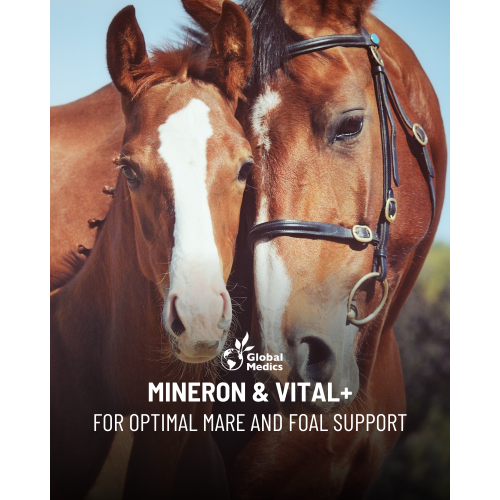 mineron-vitalplus-1_486496847