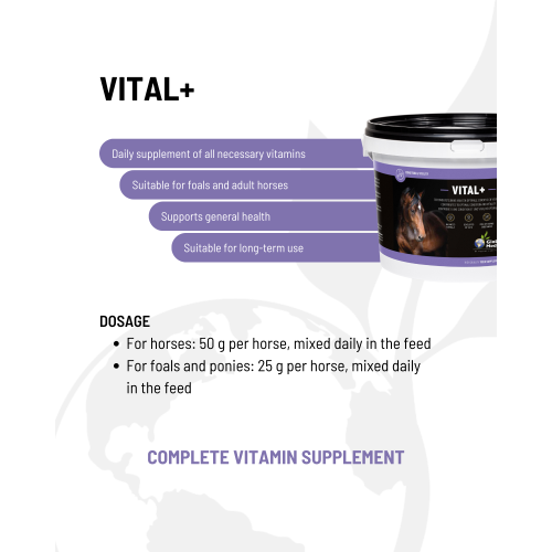 mineron-vitalplus-3