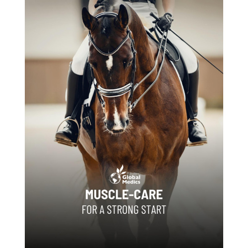 muscle-care-1
