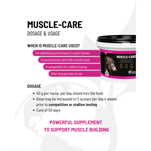 muscle-care-2