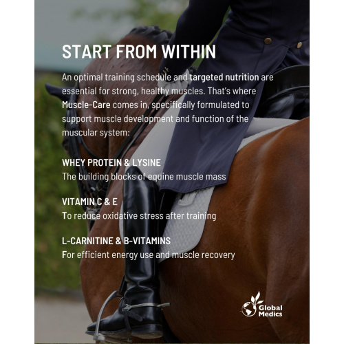 muscle-care-2_1305448075