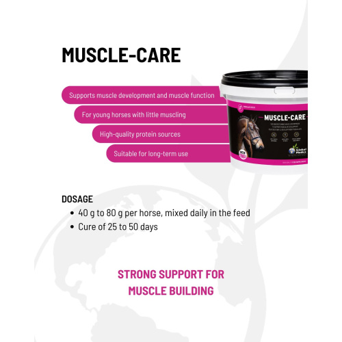 muscle-care-3