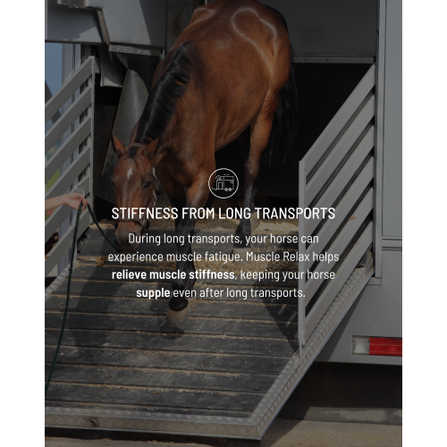 muscle-relax-suitability-2