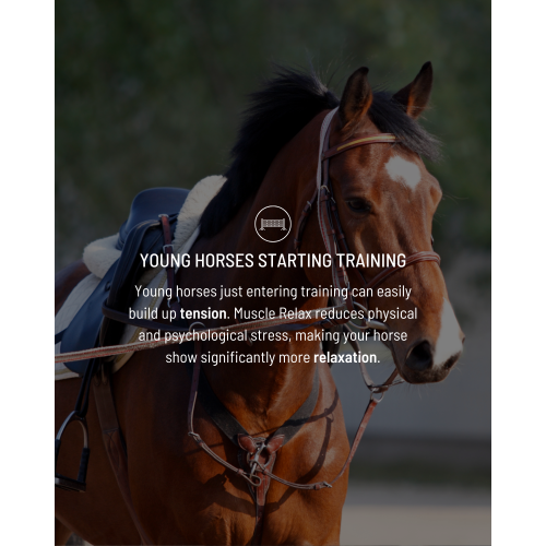 muscle-relax-suitability-3