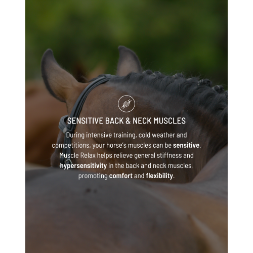 muscle-relax-suitability-4