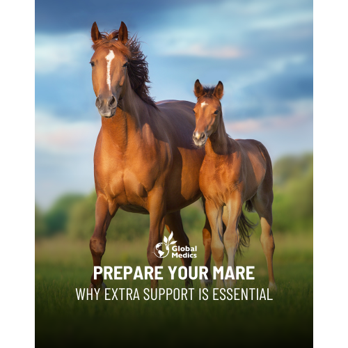 prepare-your-mare-1_1413683603
