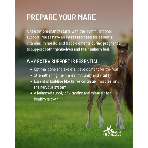 prepare-your-mare-2_1343495079