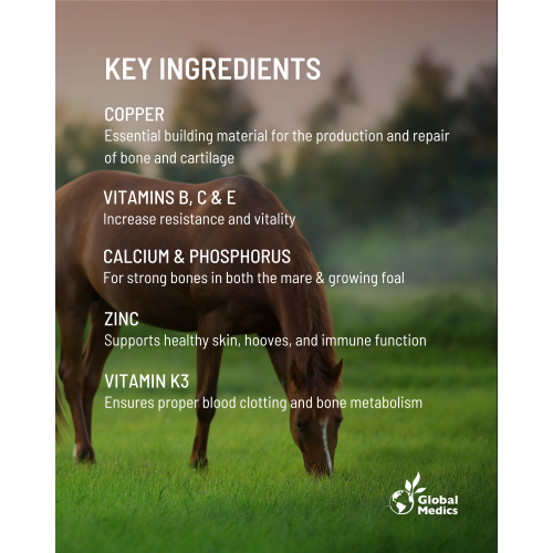 prepare-your-mare-3_600341752