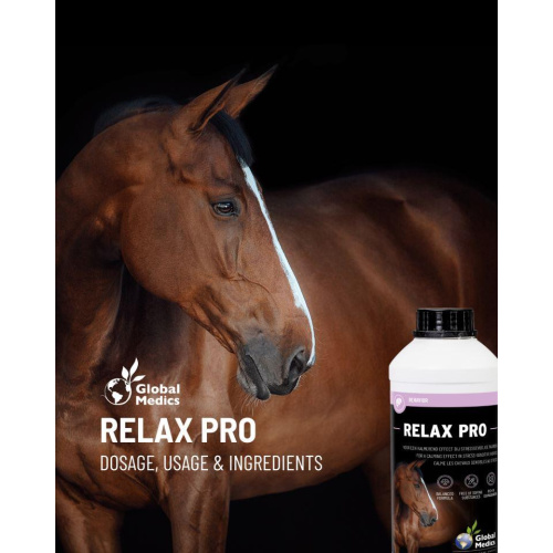 relax-pro-1
