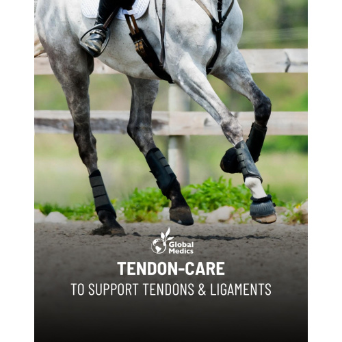 tendon-care-1