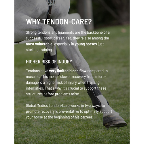 tendon-care-2_960237070