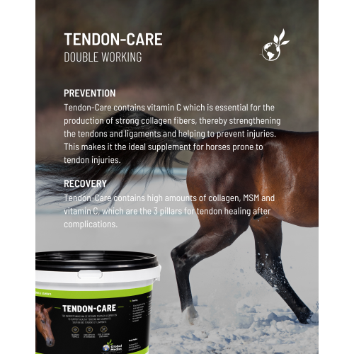 tendon-care-cold-temperatures-2