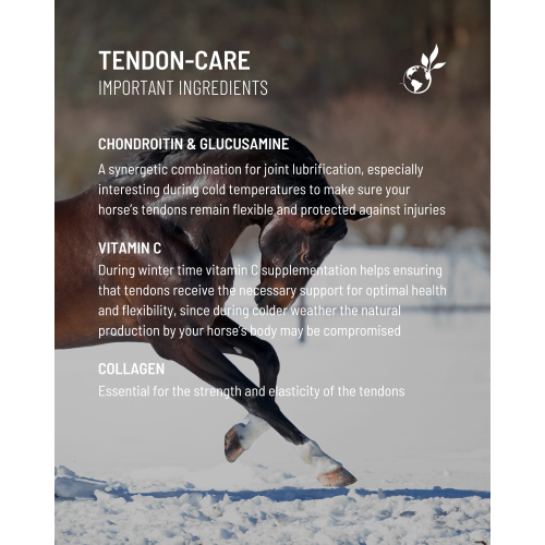 tendon-care-cold-temperatures-3